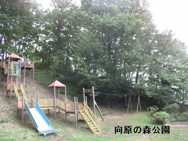麻生区千代ケ丘7丁目2号棟(向原の森公園)
