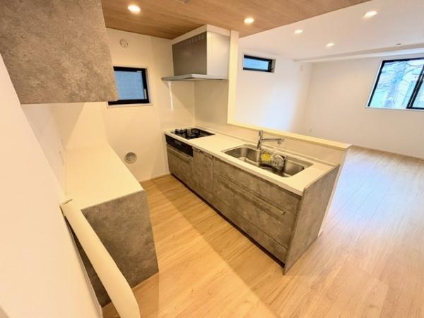 川崎市多摩区菅城下新築戸建Ｄ号棟