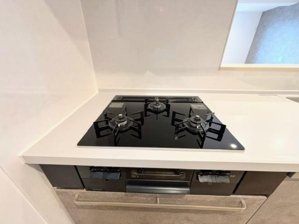 川崎市多摩区菅城下新築戸建Ｄ号棟