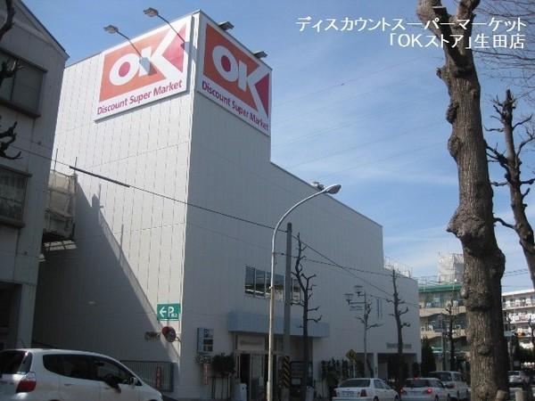 レイディアントシティ向ヶ丘遊園フランス街区(オーケー生田店)