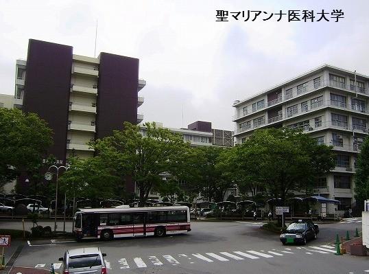 レイディアントシティ向ヶ丘遊園フランス街区(私立聖マリアンナ医科大学)