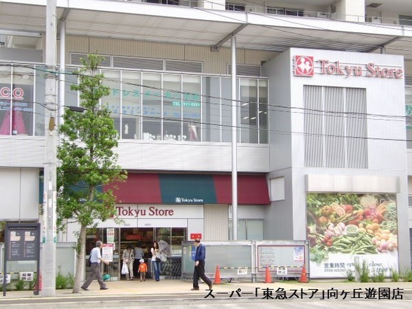 向ヶ丘遊園南ガーデンハウス(向ヶ丘遊園東急ストア)