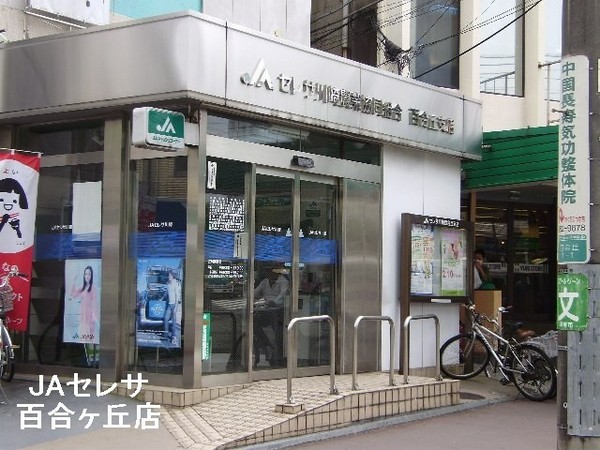 麻生区千代ヶ丘　新築戸建　全1棟　2階リビング(JAセレサ川崎百合丘支店)