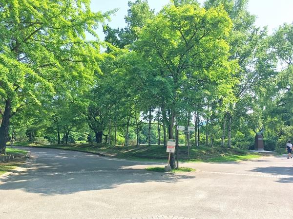 マジソンハイツ(中島公園)