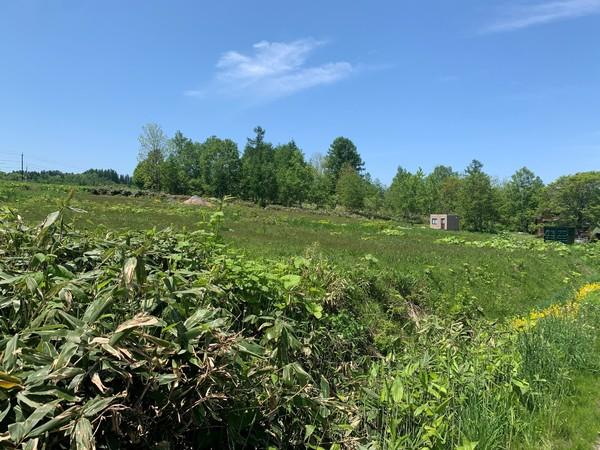 虻田郡ニセコ町字福井・土地