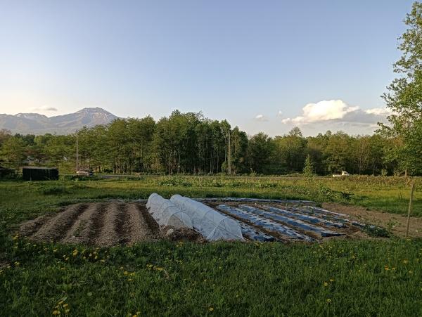 虻田郡ニセコ町字福井の土地