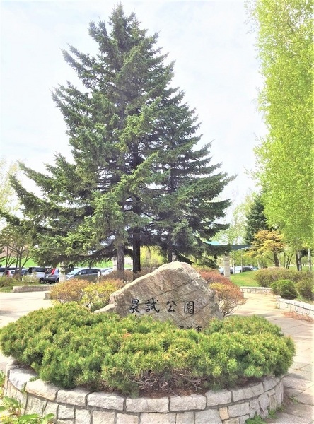 札幌市西区八軒九条西１０丁目の中古一戸建て(農試公園)