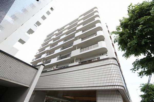 ライオンズマンション中の島通り