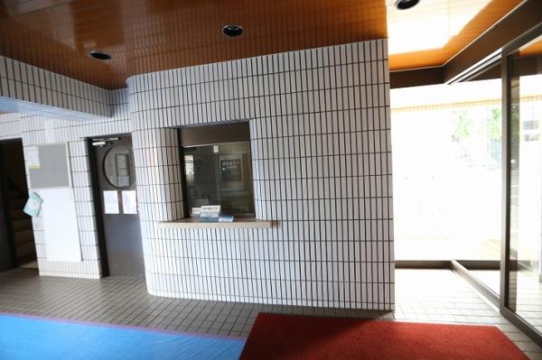 ライオンズマンション中の島通り
