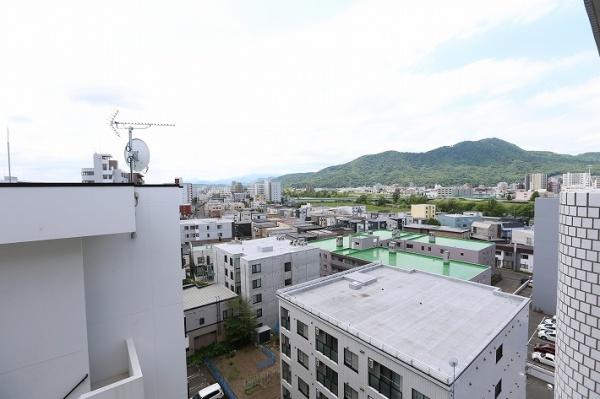 ライオンズマンション中の島通り