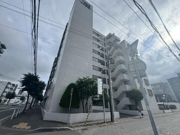 ライオンズマンション中の島通り