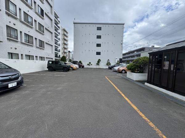 ライオンズマンション中の島通り