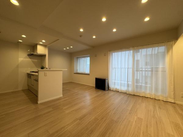 ライオンズマンション中の島通り