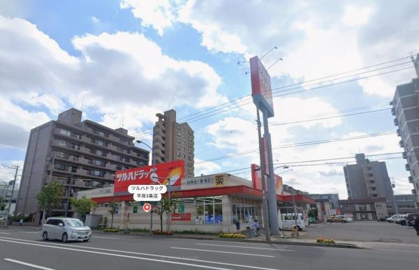 札幌市豊平区平岸四条１０丁目の中古一戸建て(ツルハドラッグ平岸3条店)