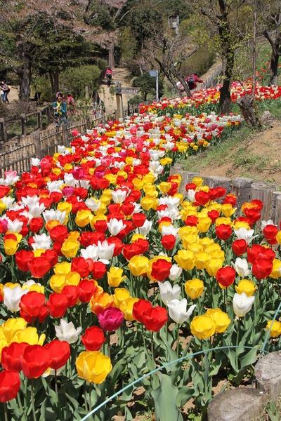 木更津市吾妻1丁目の土地(吾妻公園)