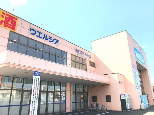 市原市東国分寺台4丁目 1号棟(ウエルシア市原国分寺台店)