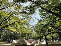 船橋市習志野2丁目 1号棟(習志野1丁目西公園)
