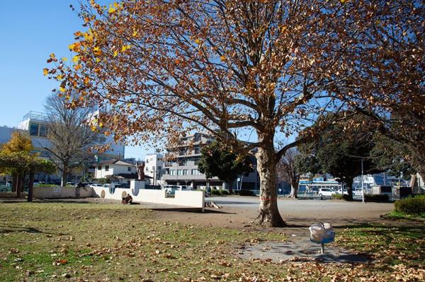 千葉市若葉区都賀5丁目 1号棟(都賀東公園)