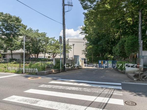 船橋市坪井西1丁目(船橋市立坪井中学校)
