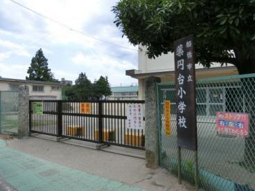 船橋市習志野台4丁目(船橋市立薬円台小学校)