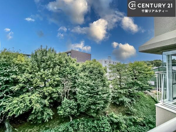 パレドール津田沼