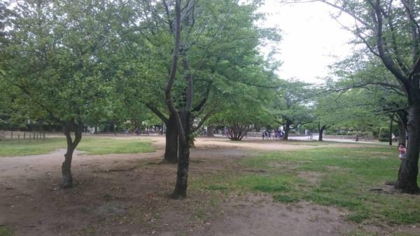 谷津パークタウン弐番街32号棟(谷津公園)