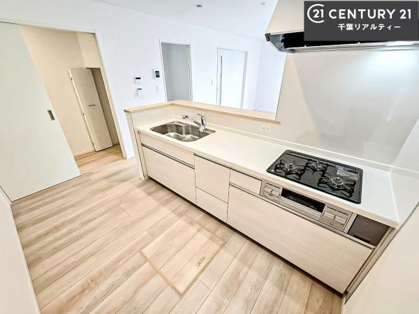 成田市玉造2丁目 1号棟(キッチン)