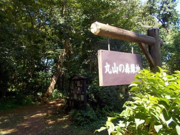 グラファーレ船橋市丸山2丁目(丸山の森緑地)