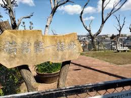 船橋市上山町2丁目(13号若宮第1緑地)