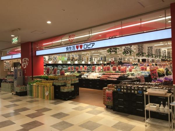 千葉市若葉区千城台西１丁目　１号棟(ロピア千城台店)