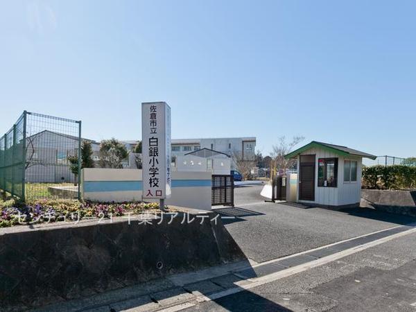 佐倉市大蛇町(佐倉市立白銀小学校)