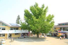 佐倉市大蛇町(認定こども園慈光幼稚園)