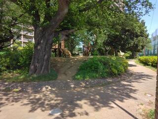 エステ・シティ船橋五番館(藤原さくら公園)