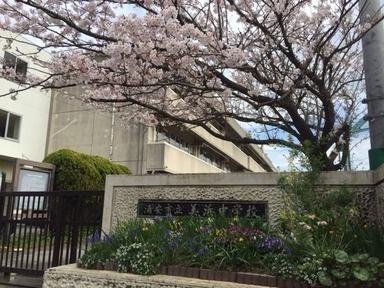 美浜東エステート(浦安市立美浜中学校)