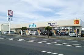 神栖市知手(ウエルシア神栖知手中央店)