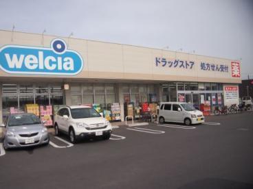 千葉市稲毛区宮野木町　２号棟(ウエルシア千葉宮野木台店)