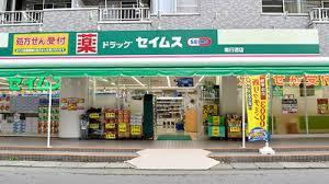 レクセルマンション南行徳(ドラッグセイムス南行徳店)