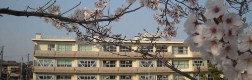 ハイマート稲毛A棟(千葉市立稲毛小学校)