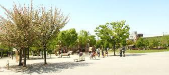 市川市大洲４丁目(大洲防災公園)