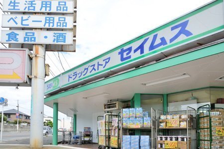 袖ケ浦市神納2丁目の土地(ドラッグセイムス福王台バイパス店)