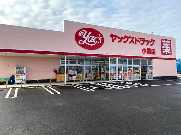 君津市末吉の中古一戸建て(ヤックスドラッグ小櫃店)