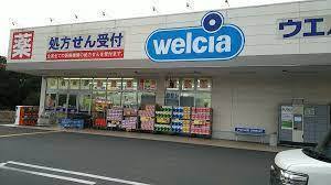 富津市西大和田(ウエルシア富津大貫店)