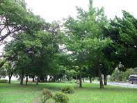 市原市姉崎の新築一戸建(椎津第2公園)