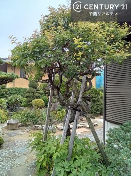 木更津市東太田３丁目の中古一戸建