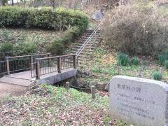 ハイラーク千葉(桜木町緑地)