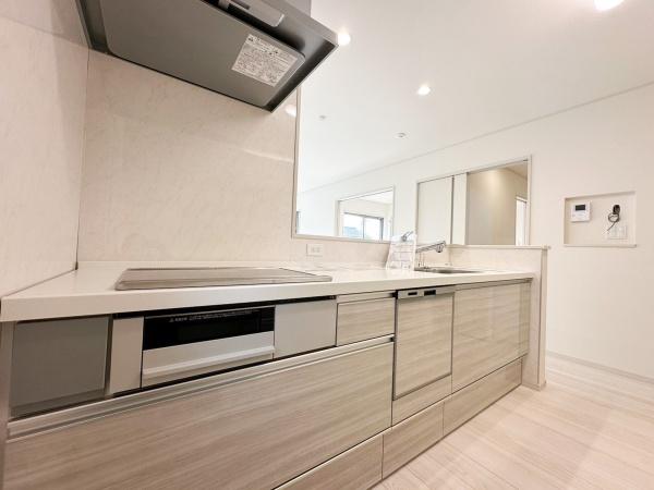 袖ヶ浦市奈良輪 4号棟(キッチン)