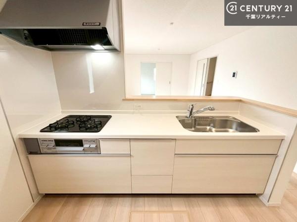 市原市山田橋3丁目の新築一戸建(キッチン)