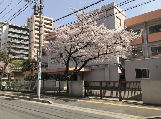 オーベル千葉ステイト(千葉市立新宿小学校)