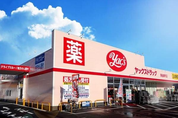 木更津市八幡台３丁目の中古一戸建て(ヤックスドラッグ木更津羽鳥野店)