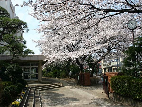 TheNOBUTOHILLSFORESTCORT(千葉市立緑町中学校)